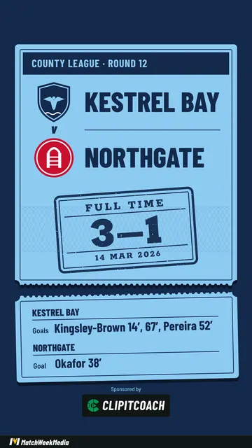 A sample full-time post in the Ticket look